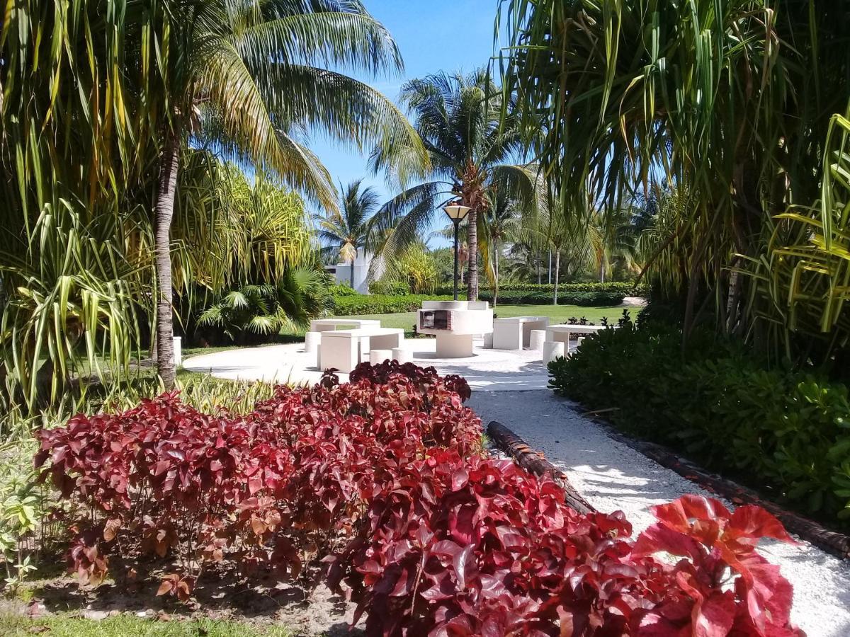 Swim The Caribbean & Work With A View Apartment Cancun Bagian luar foto