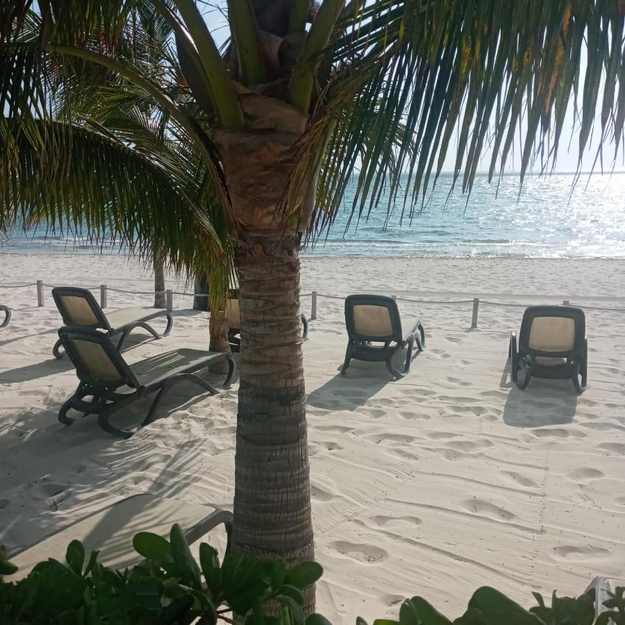 Swim The Caribbean & Work With A View Apartment Cancun Bagian luar foto